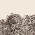 Over the Treetops, Alabaster Mural Wallpaper - pure wallpaper artwork