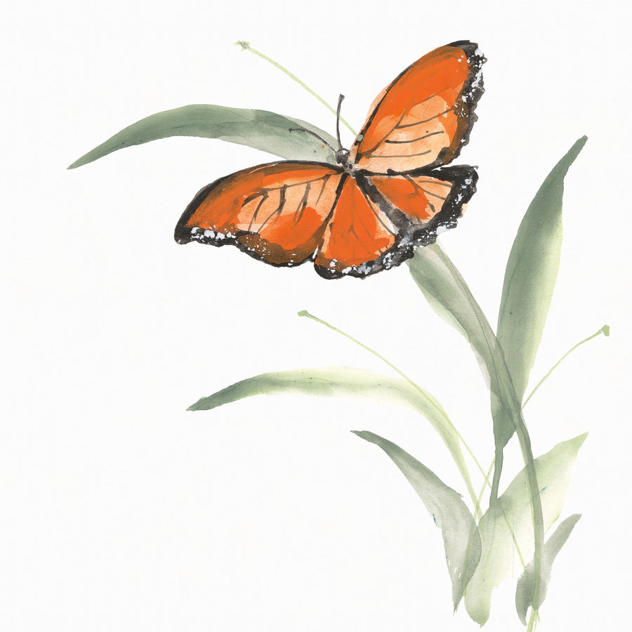 Butterfly Orange I Mural Wallpaper