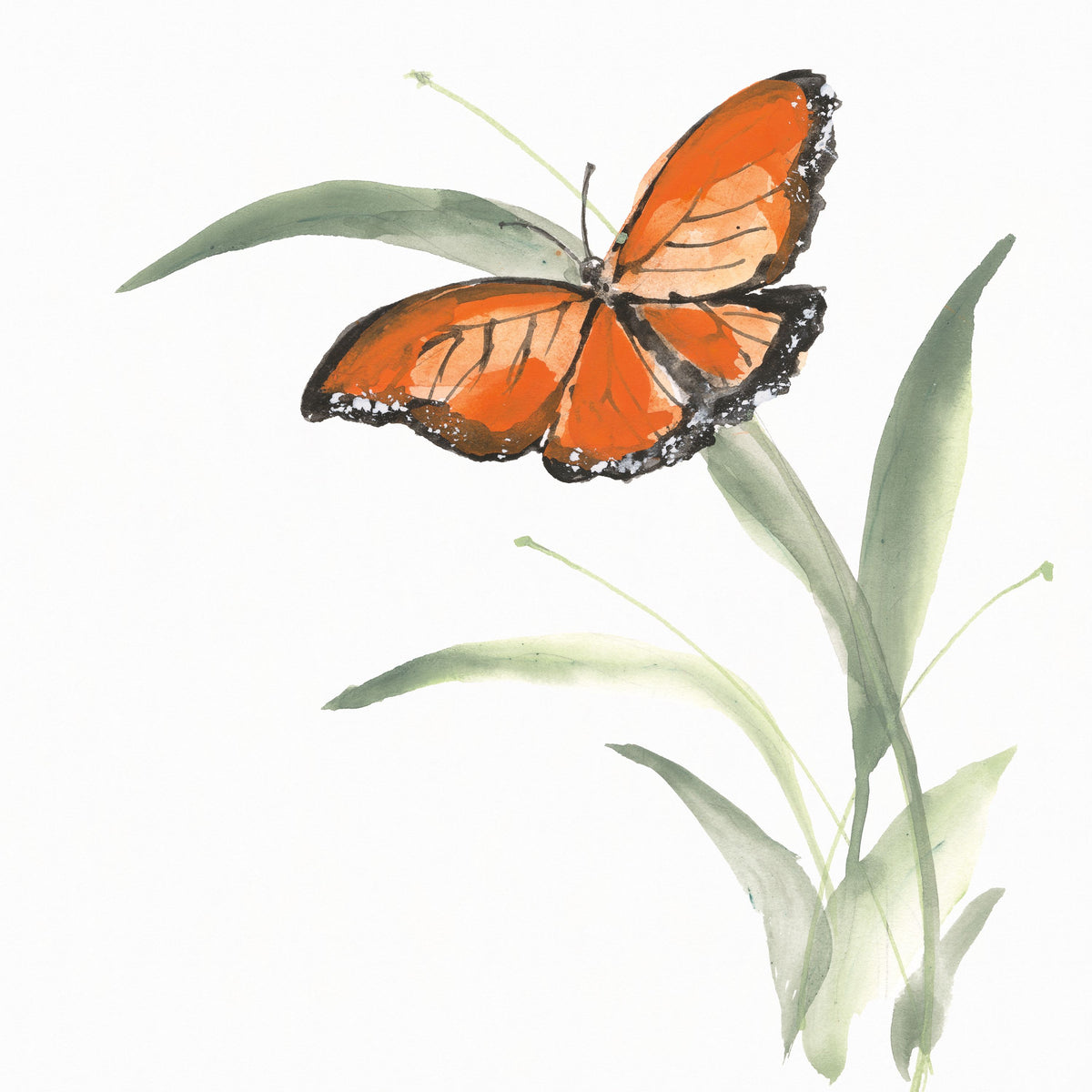 Butterfly Orange I Mural Wallpaper - pure wallpaper artwork