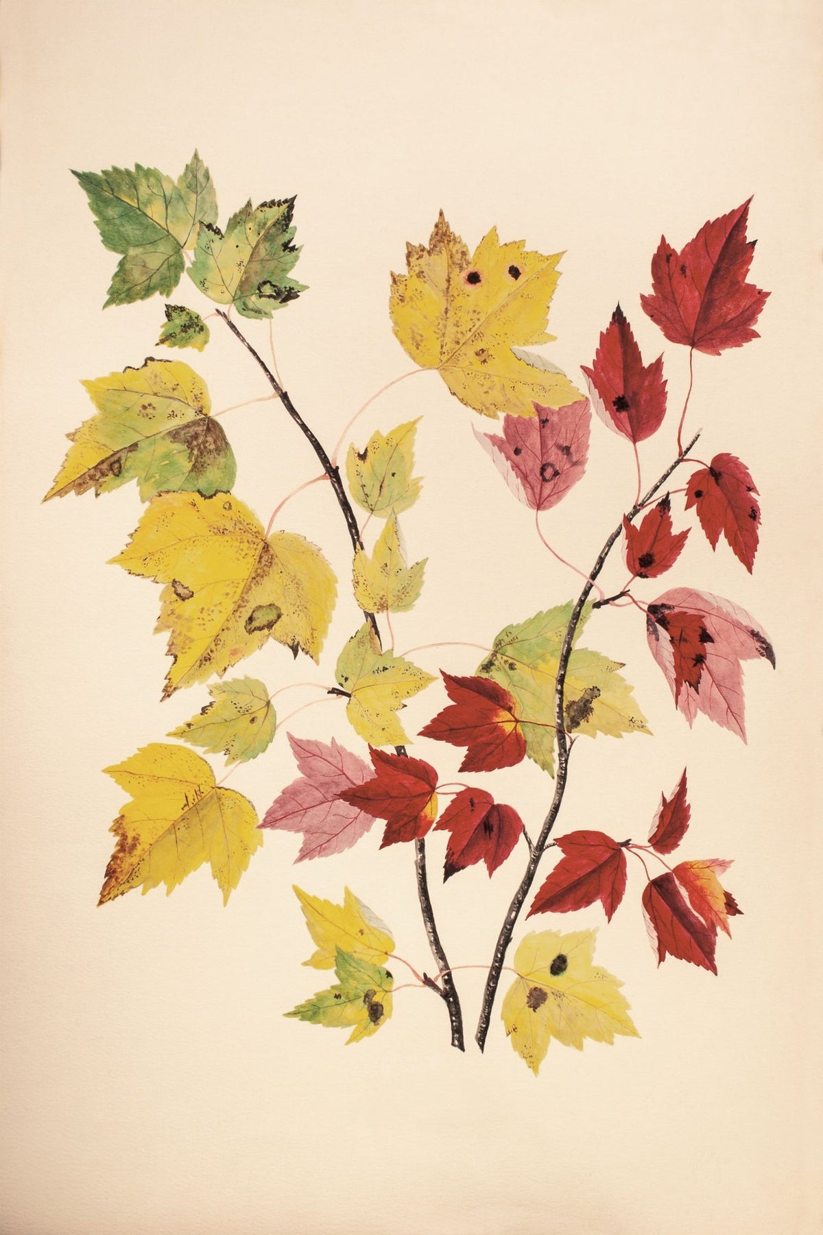 Fall Leaves III Muted Mural Wallpaper - pure wallpaper artwork