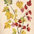 Fall Leaves III Muted Mural Wallpaper - pure wallpaper artwork