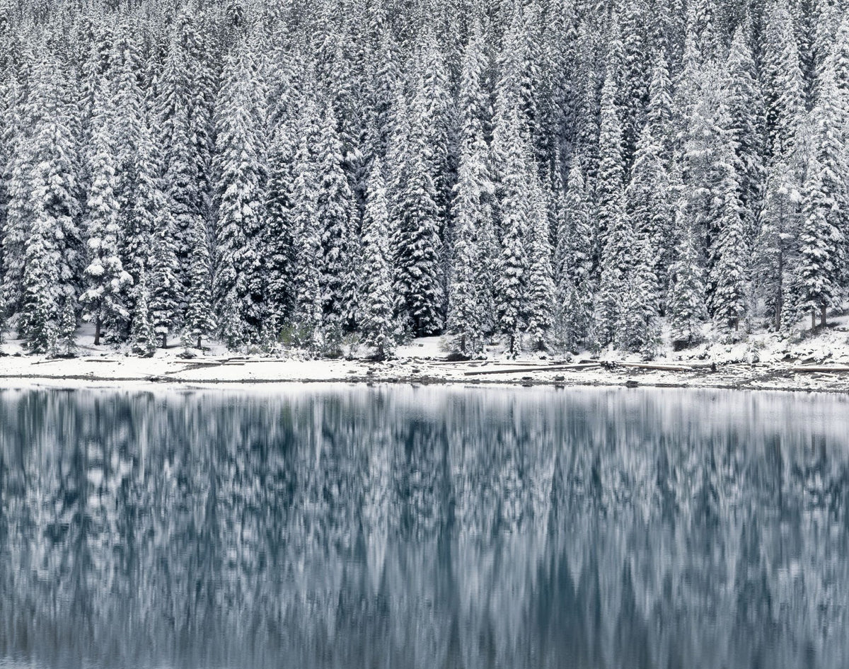Moraine Lake Mural Wallpaper - Neutral Tone - pure wallpaper artwork