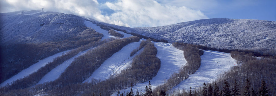 Alpine Descent Mural Wallpaper