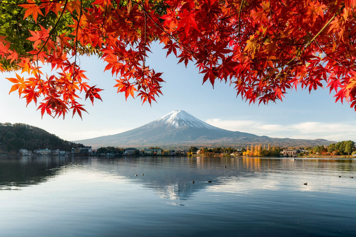 Mount Fuji Fall Mural Wallpaper - pure wallpaper artwork