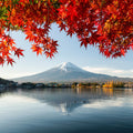 Mount Fuji Fall Mural Wallpaper - pure wallpaper artwork