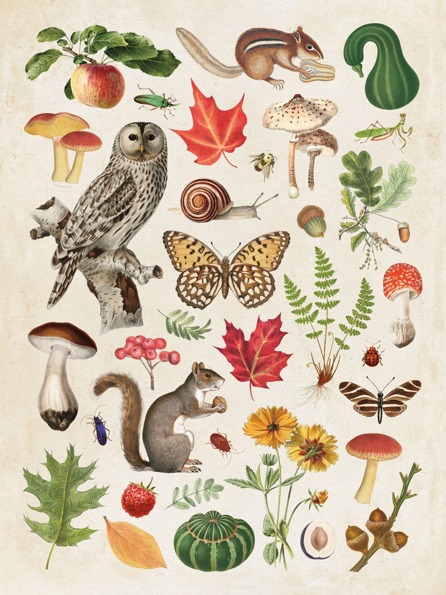 Autumn in the Forest Mural Wallpaper