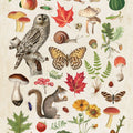 Autumn in the Forest Mural Wallpaper - pure wallpaper artwork