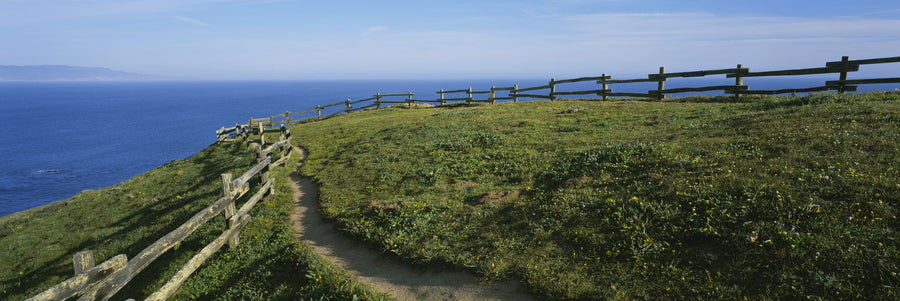 Coastal Wildflower Path Mural Wallpaper