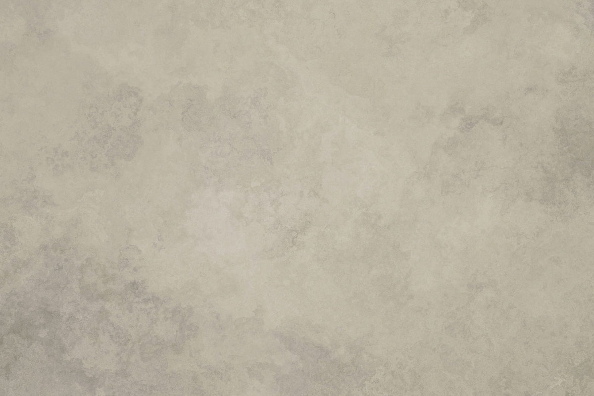 Subtle Plaster Wall, Alpine Oat Mural Wallpaper - pure wallpaper artwork