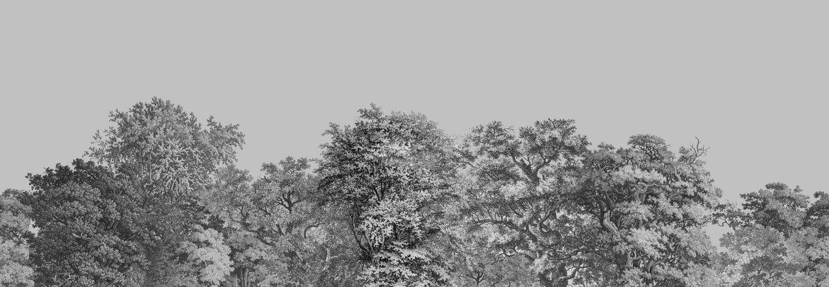 Over the Treetops,Smoke Mural Wallpaper - pure wallpaper artwork