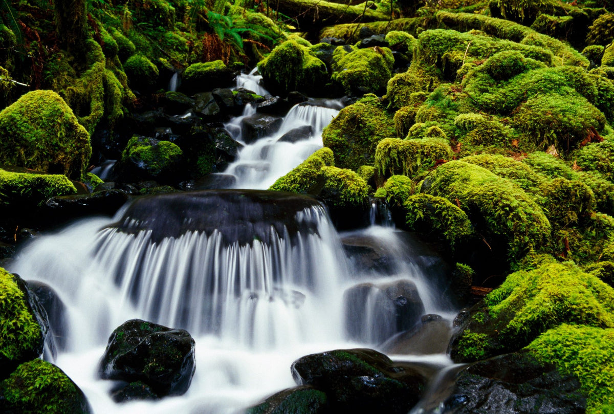 Mossy Rock Waterfall Mural Wallpaper - pure wallpaper artwork