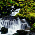 Mossy Rock Waterfall Mural Wallpaper - pure wallpaper artwork