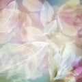 Garden in the Clouds Mural Wallpaper - pure wallpaper artwork