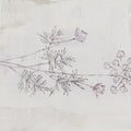 Delicate Meadow I Mural Wallpaper - pure wallpaper artwork