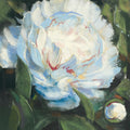 Peony I Mural Wallpaper - pure wallpaper artwork