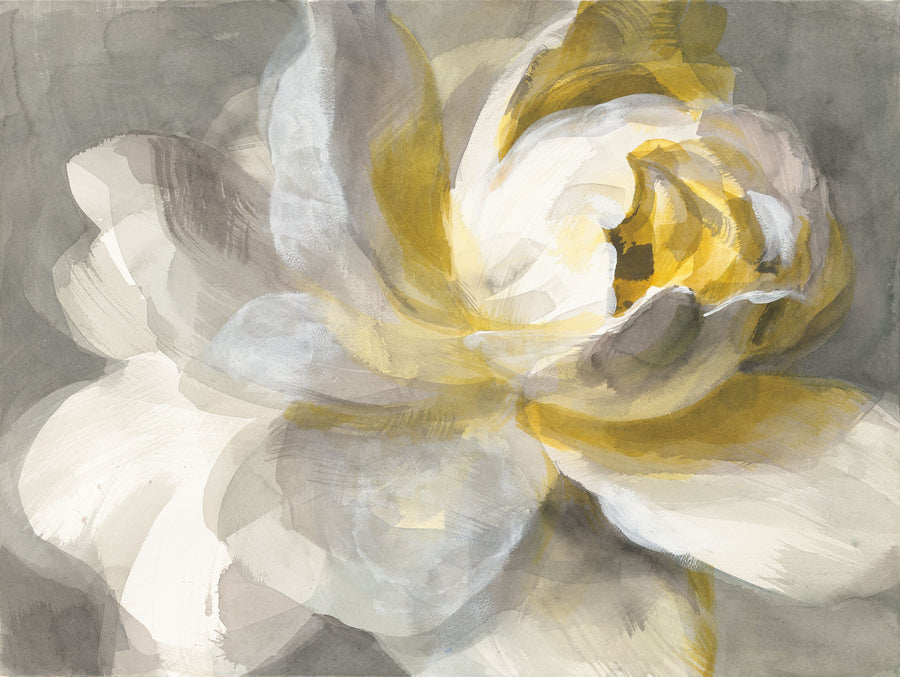 Abstract Rose Mural Wallpaper