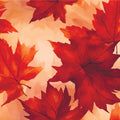 Oaks by Fall Mural Wallpaper - pure wallpaper artwork