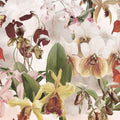 Orchid Mural Wallpaper - pure wallpaper artwork