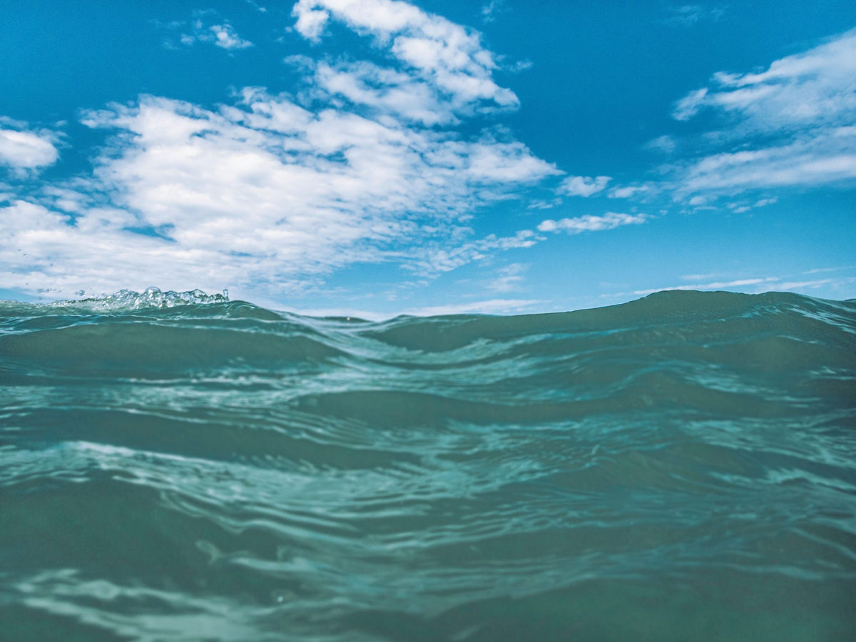 Floating in the Ocean Mural Wallpaper - pure wallpaper artwork