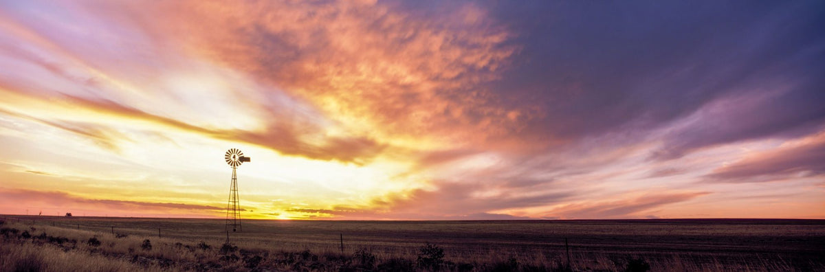 Sunset Solitude Mural Wallpaper - pure wallpaper artwork