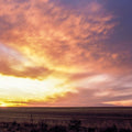 Sunset Solitude Mural Wallpaper - pure wallpaper artwork