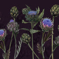 Artichoke Blooms, Midnight Mural Wallpaper - pure wallpaper artwork