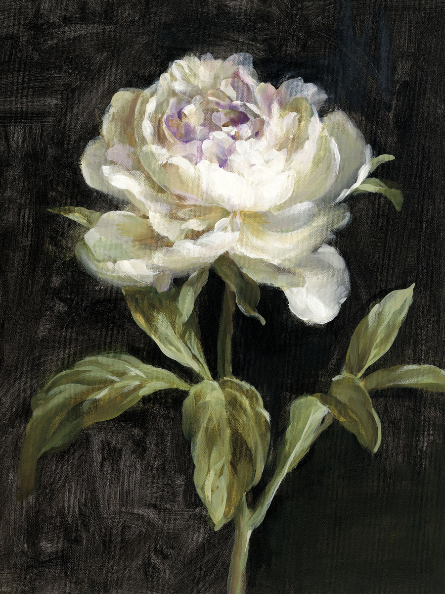 Peony on Black Mural Wallpaper - Neutral Tone