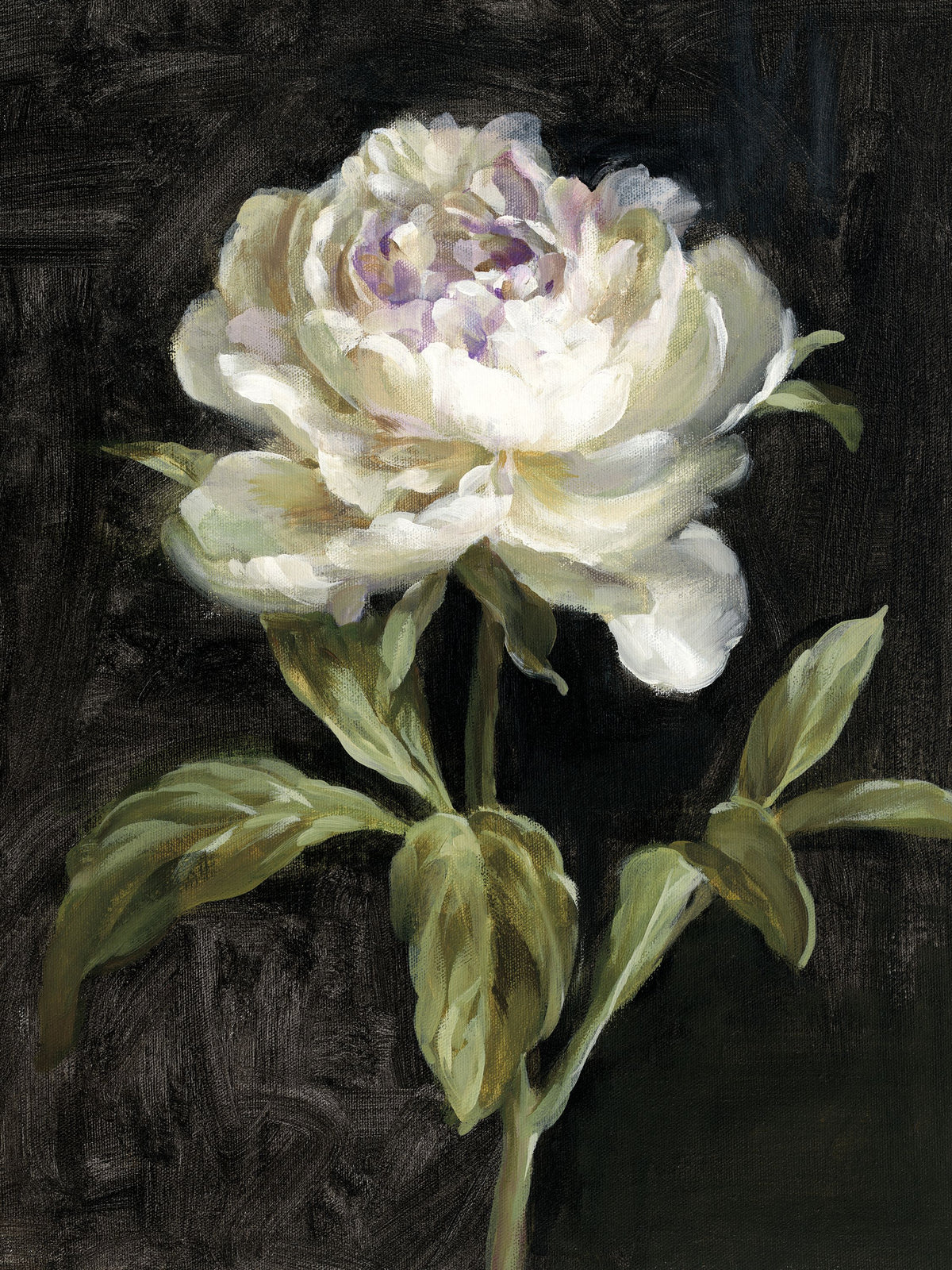 Peony on Black Mural Wallpaper - Neutral Tone - pure wallpaper artwork