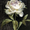 Peony on Black Mural Wallpaper - Neutral Tone - pure wallpaper artwork