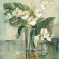 Silver Orchids II Mural Wallpaper - pure wallpaper artwork