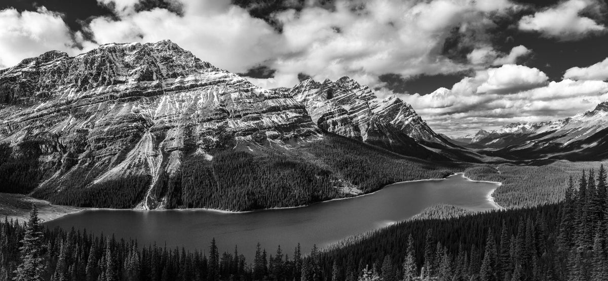 Peyto Lake BW Mural Wallpaper - pure wallpaper artwork
