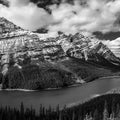 Peyto Lake BW Mural Wallpaper - pure wallpaper artwork
