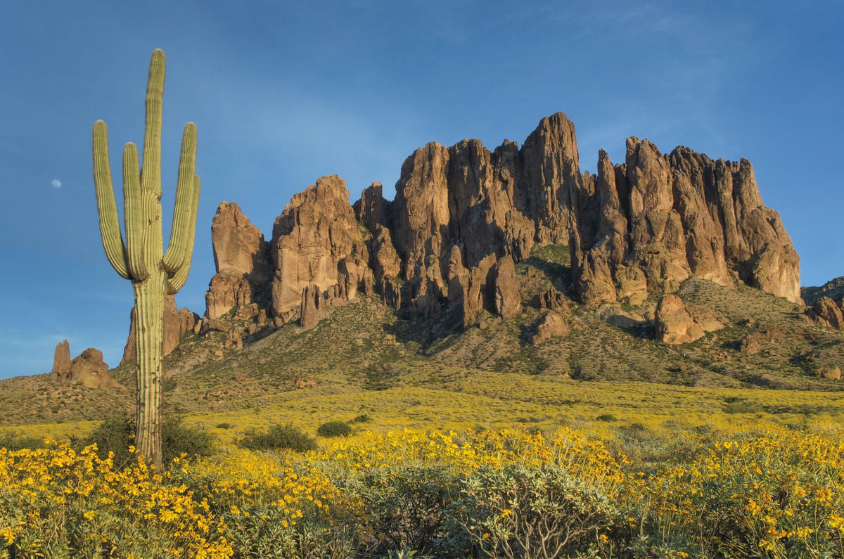 Superstition Mountains Mural Wallpaper - pure wallpaper artwork