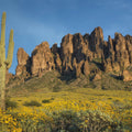 Superstition Mountains Mural Wallpaper - pure wallpaper artwork