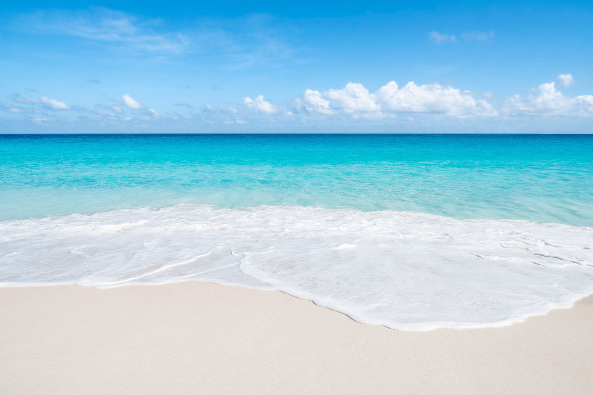 Gone to the Beach Mural Wallpaper - pure wallpaper artwork