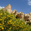 Desert Bloom Mural Wallpaper - pure wallpaper artwork