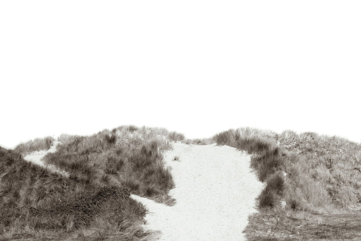 Soluna Dunes III Mural Wallpaper - pure wallpaper artwork