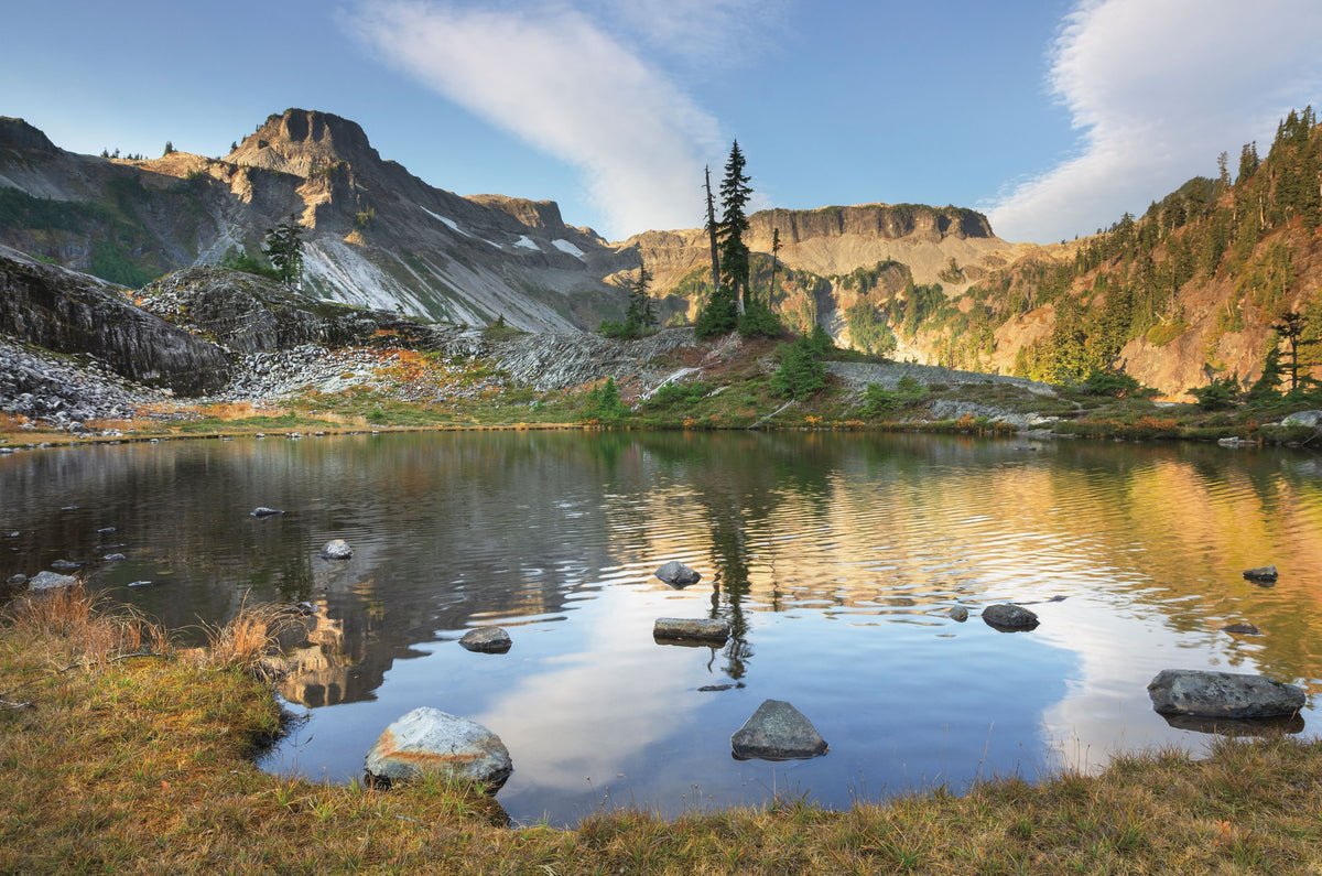 Heather Meadow Mural Wallpaper - pure wallpaper artwork