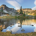 Heather Meadow Mural Wallpaper - pure wallpaper artwork