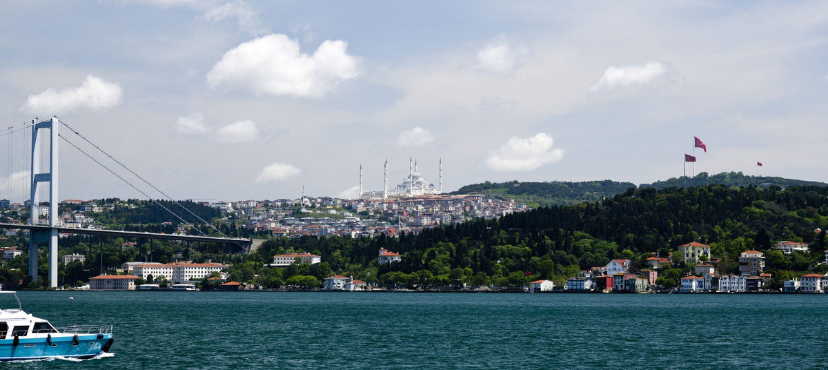 Istanbul Horizon Mural Wallpaper - pure wallpaper artwork