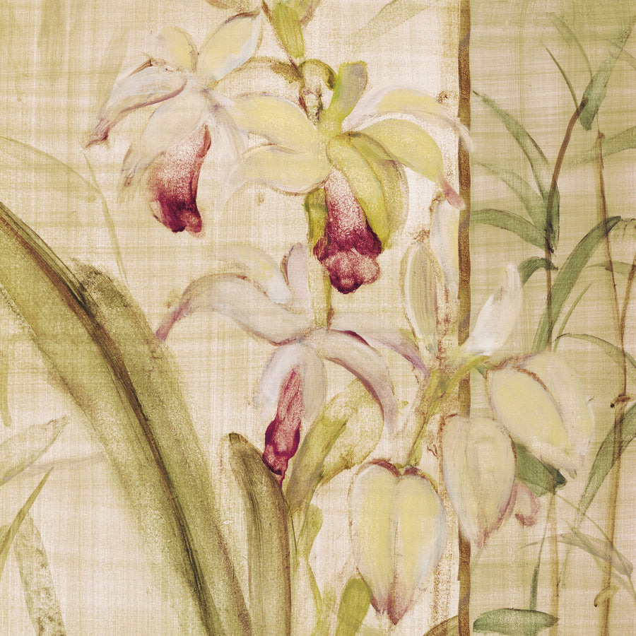 Orchids Cropped II Mural Wallpaper