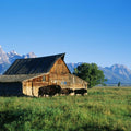 Mountain Bison Ranch Mural Wallpaper - pure wallpaper artwork