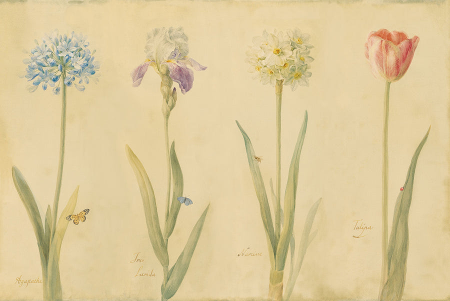 Spring Botanicals Mural Wallpaper