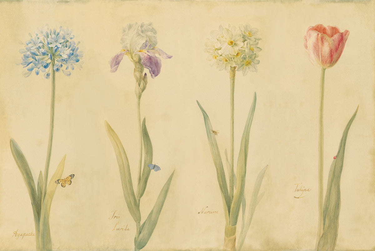 Spring Botanicals Mural Wallpaper - pure wallpaper artwork
