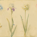 Spring Botanicals Mural Wallpaper - pure wallpaper artwork