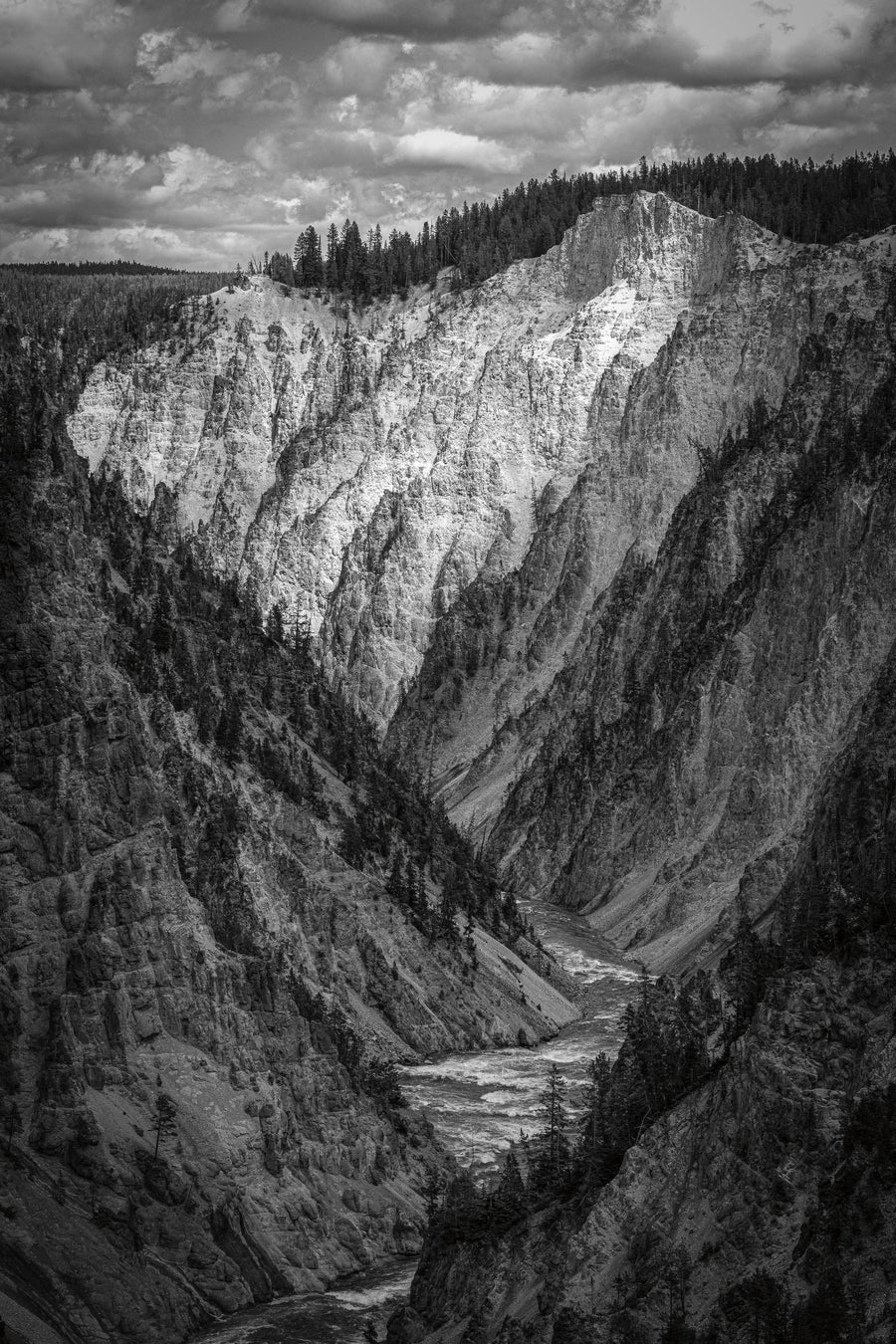 Yellowstone Summers BW Mural Wallpaper