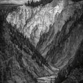 Yellowstone Summers BW Mural Wallpaper - pure wallpaper artwork