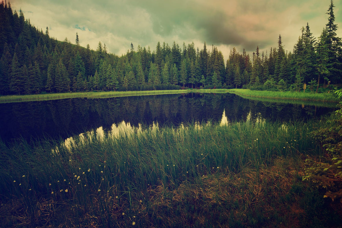 Secret Lake Mural Wallpaper - pure wallpaper artwork