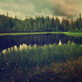 Secret Lake Mural Wallpaper - pure wallpaper artwork