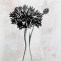 Wonderful Wildflowers VIII Neutral Mural Wallpaper - pure wallpaper artwork